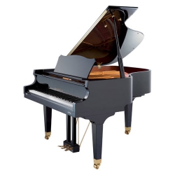 Akustik Kuyruklu Piyanolar